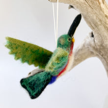 Load image into Gallery viewer, Honeybird