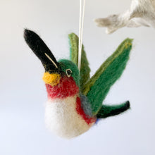 Load image into Gallery viewer, Honeybird